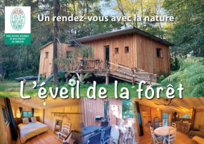 Gîte nature L'éveil de la forêt